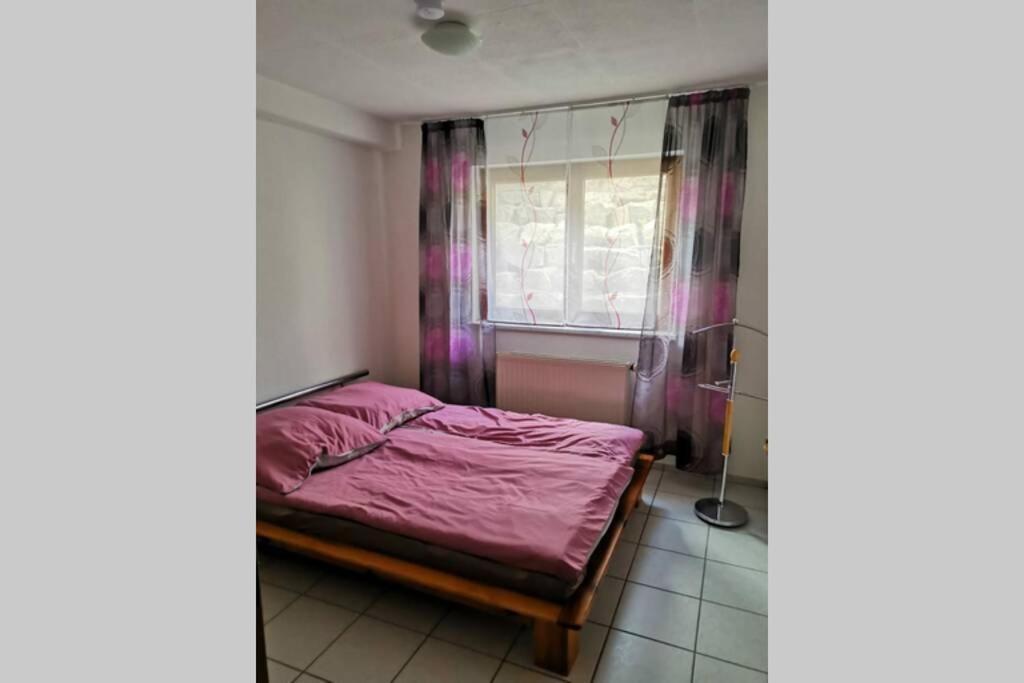 Ferienwohnung In Singen Am Hohentwiel - Seenah Kültér fotó