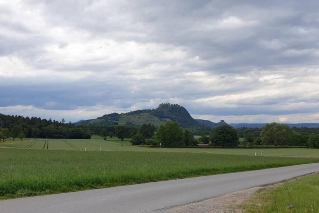 Ferienwohnung In Singen Am Hohentwiel - Seenah Kültér fotó