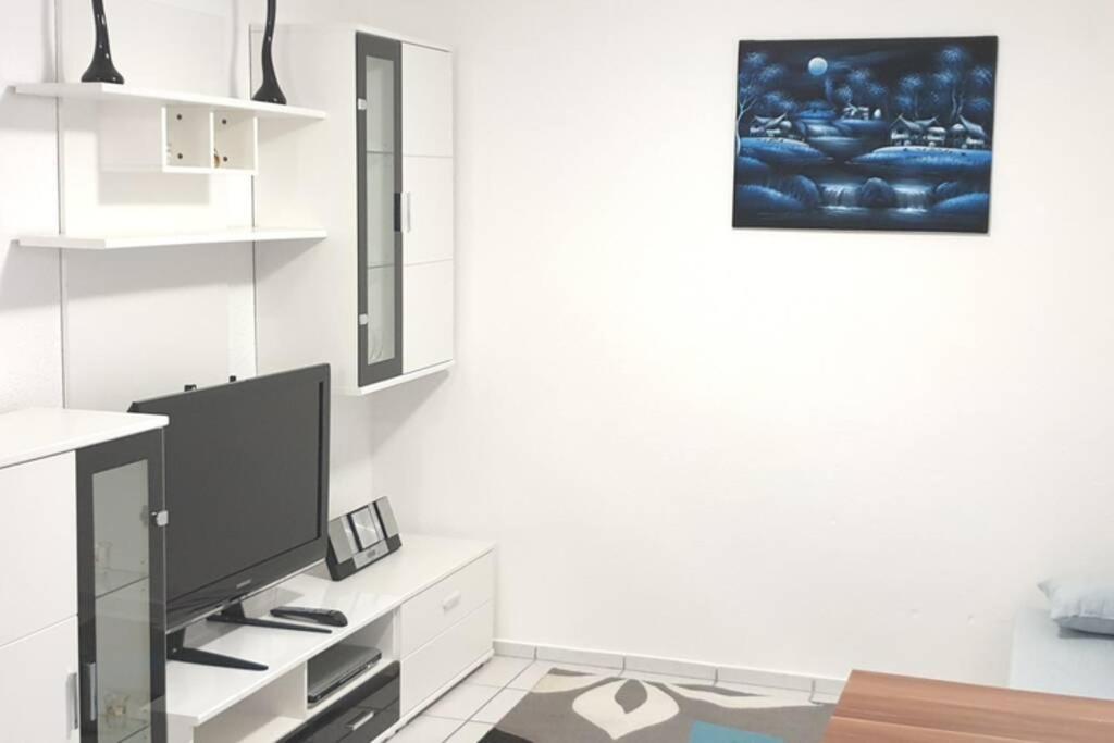 Ferienwohnung In Singen Am Hohentwiel - Seenah Kültér fotó