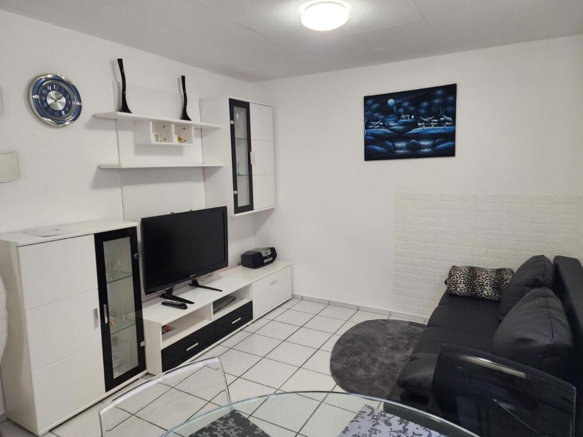Ferienwohnung In Singen Am Hohentwiel - Seenah Kültér fotó